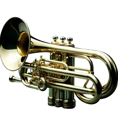 Quality Instruments Designed to Match Your Rhythm, Skill, and Style.