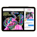 Apple-iPad Wi-Fi+5G (11 Inch, 128GB, Blue)