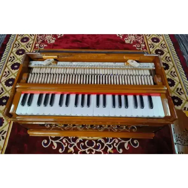 NationalMusic-Vintage Themed 3.75 Octave 3 Line Standard Harmonium