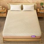 Wakefit-ErgoTech EcoLatex Plus Mattress