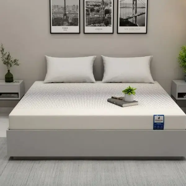 WoodenStreet-Penguin DreamLux High Density HR Foam Mattress
