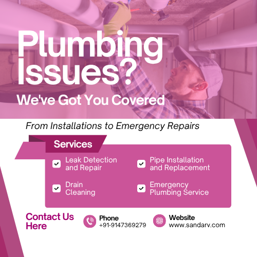Professional Plumbing Services