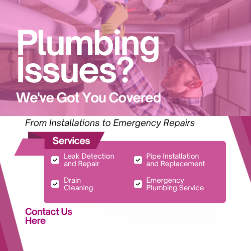 Professional Plumbing Services